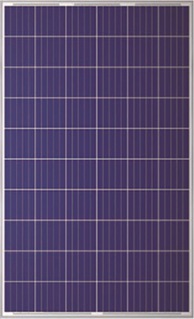 ����ϵ��