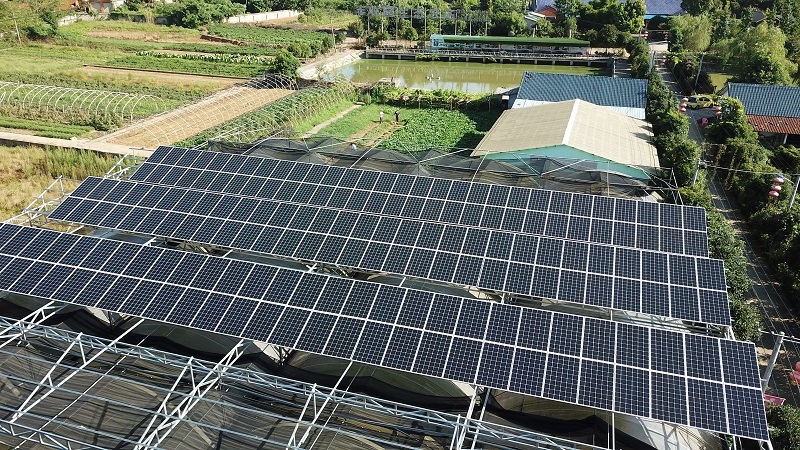 [ũ�⻥��]��ɳ���Ƿ���԰49.5KW���������Ŀ