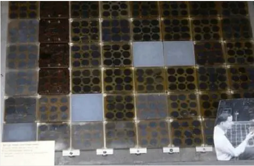 �������޹�����ɫ��Դ���޹�˾