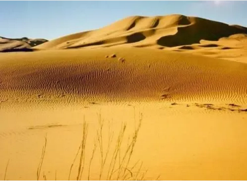 �������޹�����ɫ��Դ���޹�˾