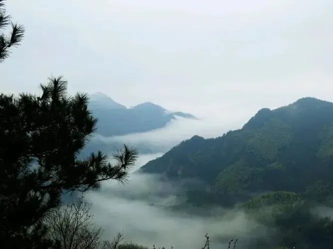 �������޹�����ɫ��Դ���޹�˾