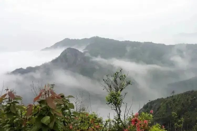 �������޹�����ɫ��Դ���޹�˾