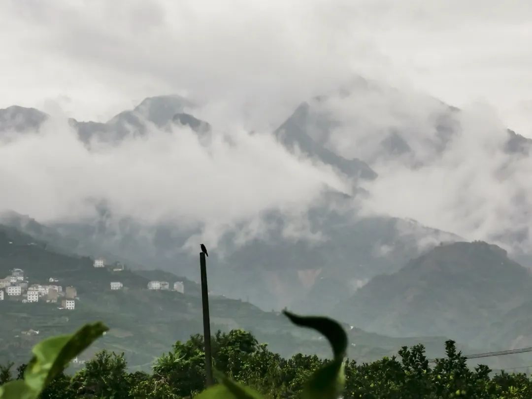 �������޹�����ɫ��Դ���޹�˾