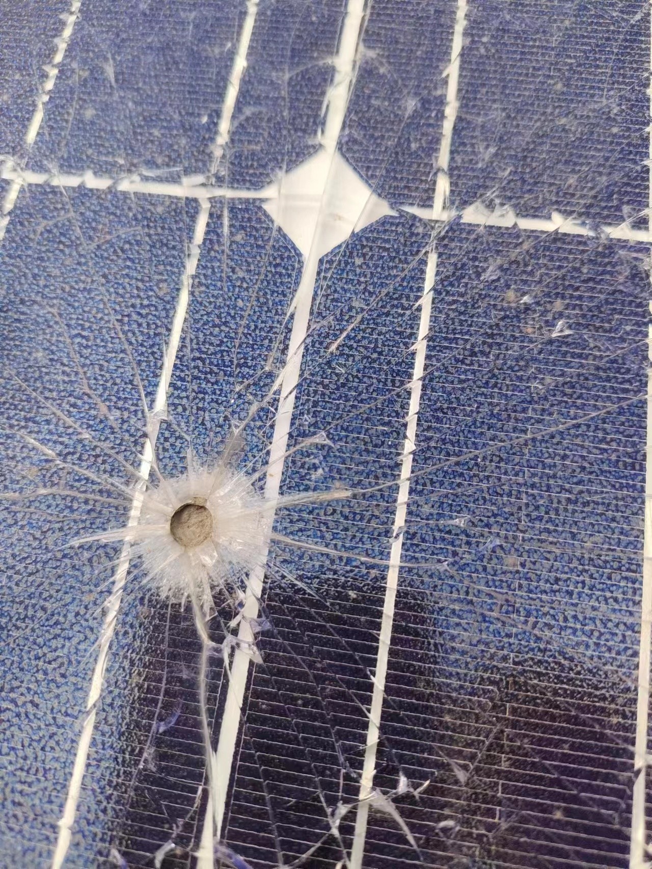 �������޹�����ɫ��Դ���޹�˾