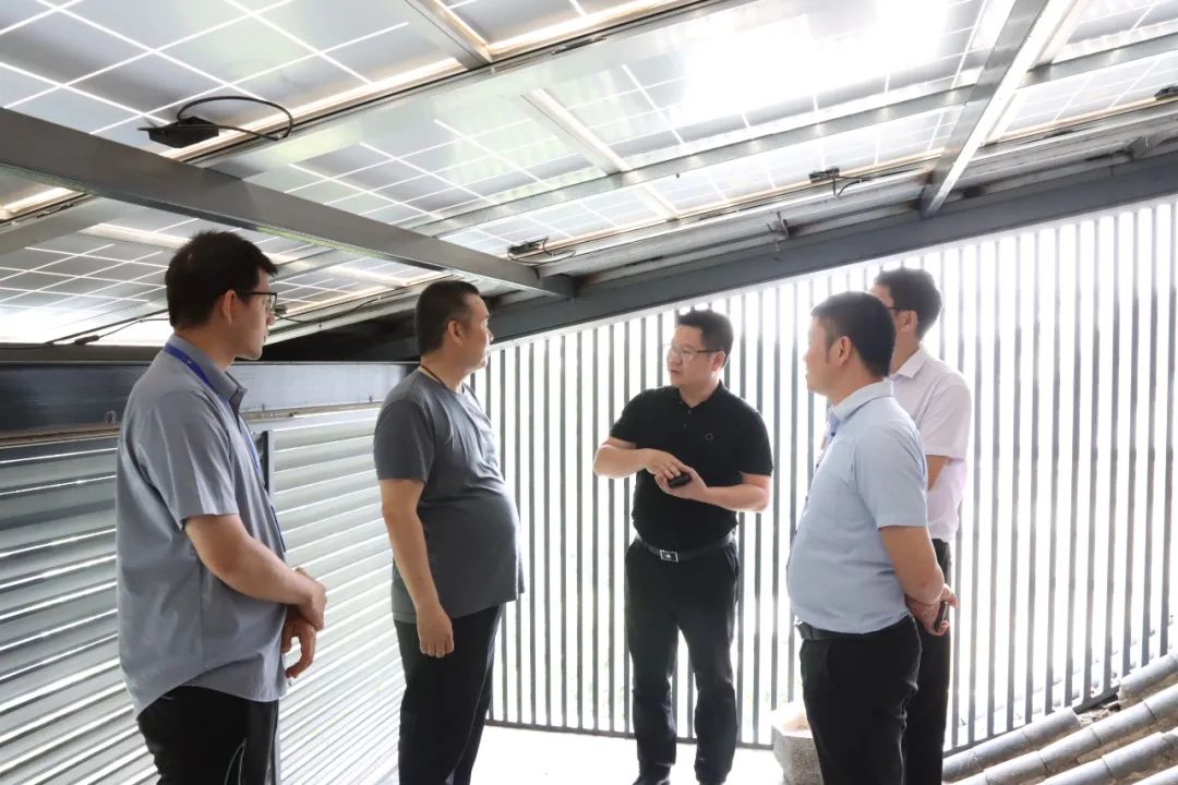 ºþ±±¾ÅÖÞ¹ú¼ÊÂÌÉ«ÄÜÔ´ÓÐÏÞ¹«Ë¾ ºþ±±¾ÅÖÞ¹ú¼ÊÂÌÉ«ÄÜÔ´ÓÐÏÞ¹«Ë¾