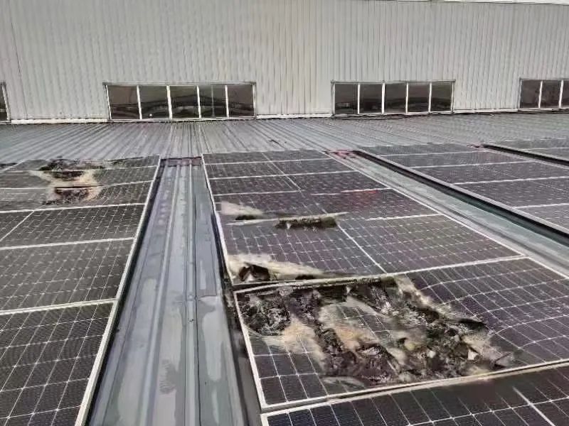 �������޹�����ɫ��Դ���޹�˾