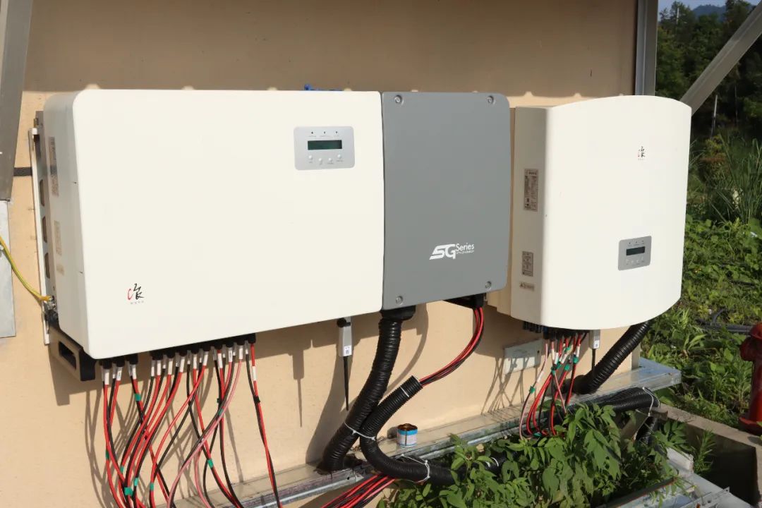 ºþ±±¾ÅÖÞ¹ú¼ÊÂÌÉ«ÄÜÔ´ÓÐÏÞ¹«Ë¾ ºþ±±¾ÅÖÞ¹ú¼ÊÂÌÉ«ÄÜÔ´ÓÐÏÞ¹«Ë¾