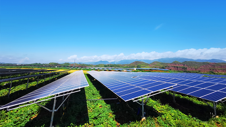 �������Ϊʲô�ᱻ����������ٰ��������ͱ�����׷��������