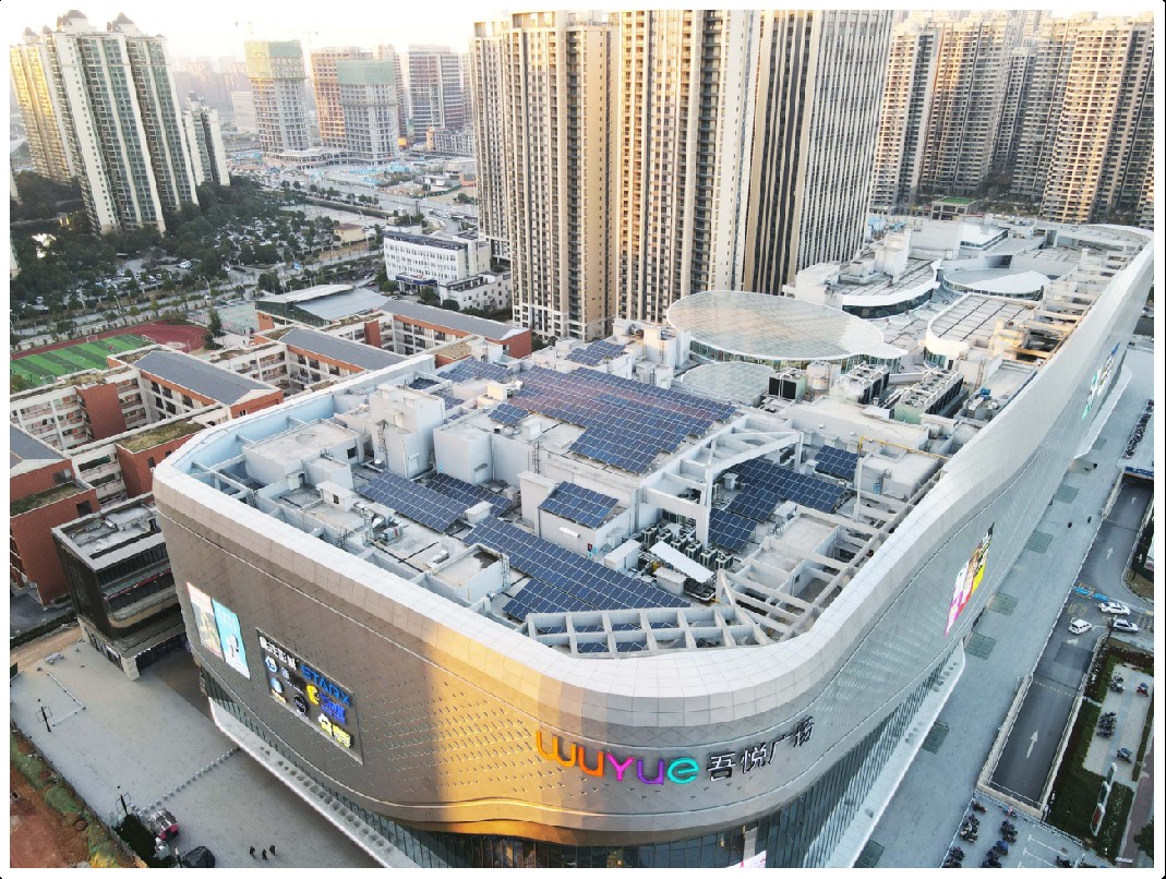 ���޹���